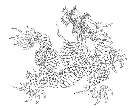 Oriental dragon illustration Chinese Japanese Korean style transparent background  dragon looking up line