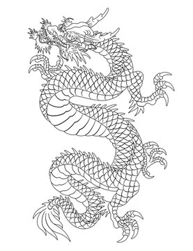 Oriental dragon illustration Chinese Japanese Korean style transparent background and ascending long dragon line