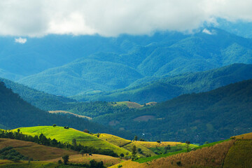 Hut and Shack in the rice field ,Pa Pong Pieng , Mae Chaem, Chiang Mai, Thailand