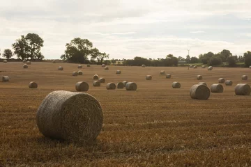 Schilderijen op glas Scenic view of hay bale on farm field © vectorfusionart