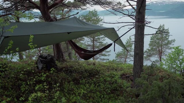 Hammock Hanging On A Tree Under Waterproof Canopy. - close up