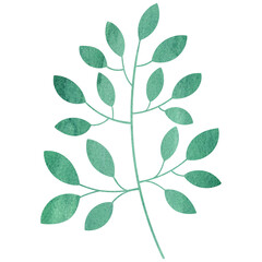 Simple watercolor green leaf. Plant element. Transparent PNG Clipart