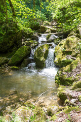 Naklejka na ściany i meble Mountain river, sources in the canyon of the stone bed, panorama of the area, summer season, in nature