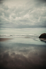 Bethells Beach - West Auckland, New Zealand