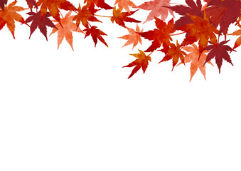 紅葉のイラストフレーム