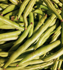 Buncis. Chickpeas or Buncis in Indonesia (from Dutch boontjes for beans in general), are the edible legumes of the various cultivars Phaseolus vulgaris.
