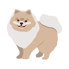 Happy cartoon puppy pomeranian. Cute dog. Vector flat illustration isolated on white background.