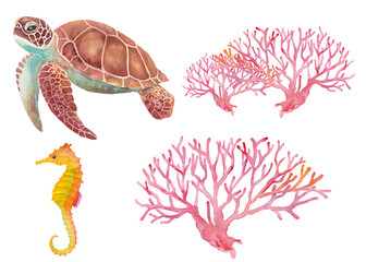 海のいきもの：ウミガメ、タツノオトシゴ、サンゴの水彩イラスト（透過背景）  © Keiko Takamatsu