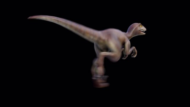 Dinosaur Velociraptor Run Loop Back View Alpha Shadow