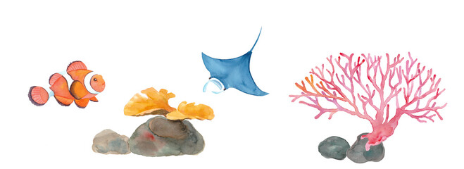 海のいきもの：カクレクマノミ,マンタ,サンゴの水彩イラスト（透過背景）  © Keiko Takamatsu
