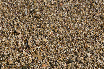 Small pebbles form the background of the sea shore. Coarse multicolor sand.