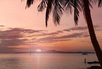 Naklejka na ściany i meble Coconut palm tree silhouette on sea and evening sunset sky background.