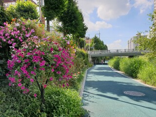 path in the park