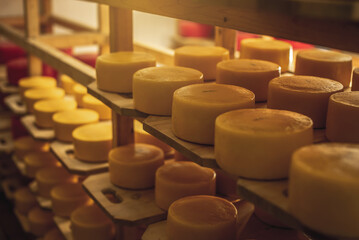 Cheeseheads with lie on the shelves of the storage for maturation. Production of European cheeses...