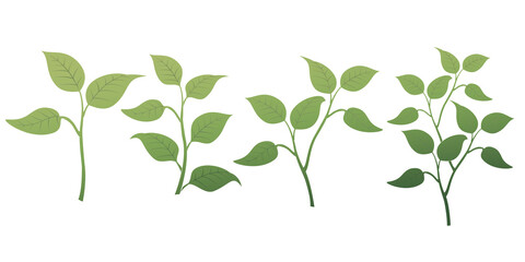 Obraz premium Various leaves and grass illustrations Transparent background Grass leaves