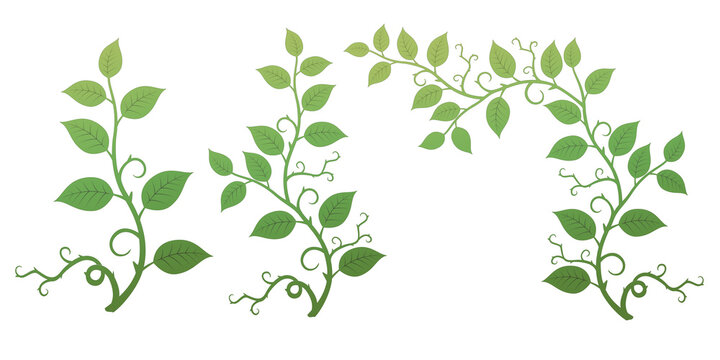 Illustration of various leaves and grass with rose leaves and thorns on a transparent background
