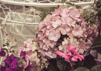 Decorative hydrangea and other flowers, vintage style