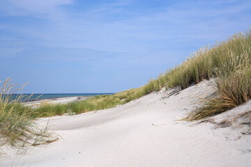 Fototapeta na wymiar Bewachsene Dünen am Strand der Ostsee im Wind und im Sand 