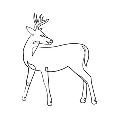 Deer continuous line art illustration. Deer one line art minimalism design