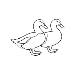 Duck continuous line art drawing