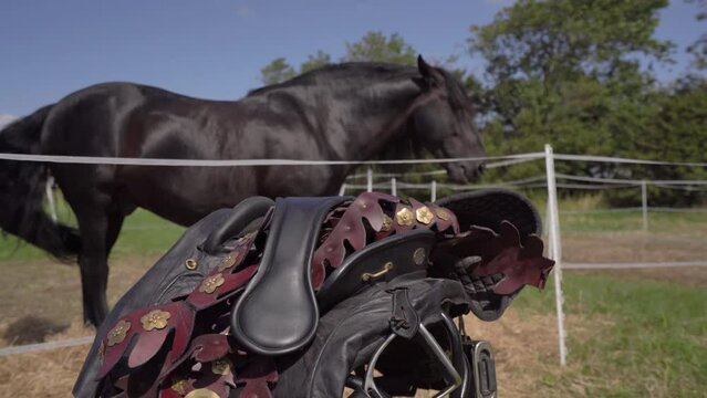 Costume Saddle Of Rider Actor In Front Of Black Friesian Horse - Static Wide Angle HD