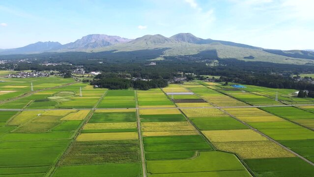 初秋の阿蘇五岳と田園風景　熊本県の阿蘇山風景