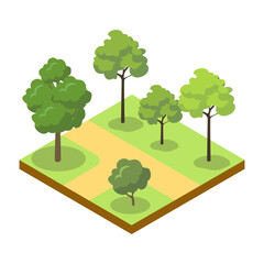 Park alley with big trees isometric 3D icon. Decorative plant and green grass vector illustration. Nature map element for summer parkland landscape design.