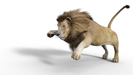 Obraz premium Lion jumping