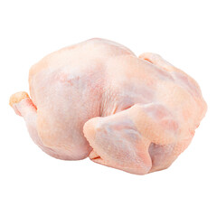 Isolated whole raw chicken png