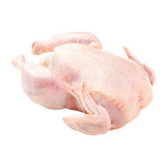 Isolated png whole raw chicken