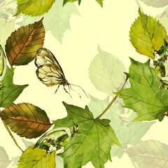 Autumn leaves with insects.Image on a white and colored. Watercolor.Seamless pattern.