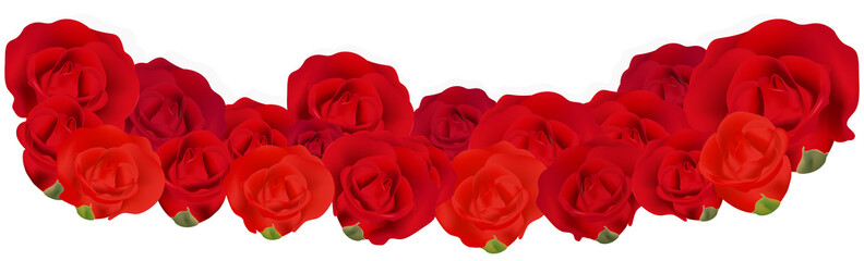 Beautiful red rose for decoration.