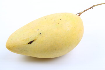 yellow mango on the background