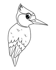 Forest bird woodpecker outline illustration in cartoon style