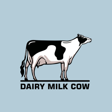 DAIRY MILK COW LOGO, silhouette of young cattle stnding vector illustrations