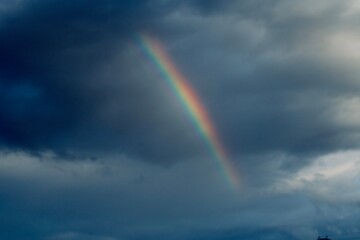 Fototapeta premium rainbow in the sky