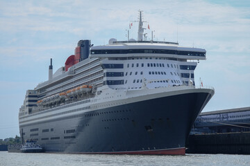 Frontaler Blick auf Ozeanliner im Hamburger Hafen Steinwerder - Font view of ocean liner cruiseship cruise ship at Steinwerder cruise terminal in HH, Germany