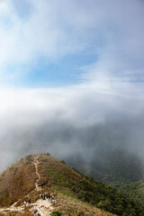 Misty landscape at Sunset Peak, Lantau Island, Hong Kong. Copy Space.. Vertical Image.