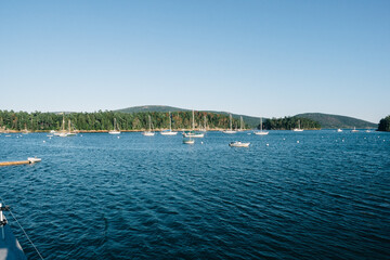 Obraz premium boats in the harbor
