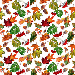 Watercolor hand drawn seamless pattern with autumn red rowan, yellow maple foliage, oak leaves, acorns on white background. Design for textile, packaging, season decor, background. Fabric template.