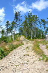 Silesian Beskids, mountain trail. The trail to Malinowska Rock (polish: Malinowa Skala) leads from the Salmopolska Pass through Malinow and Malinowska Cave.