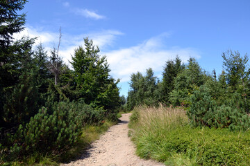 Silesian Beskids, mountain trail. The trail to Malinowska Rock (polish: Malinowa Skala) leads from the Salmopolska Pass through Malinow and Malinowska Cave.