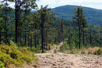 Silesian Beskids, mountain trail. The trail to Malinowska Rock (polish: Malinowa Skala) leads from...