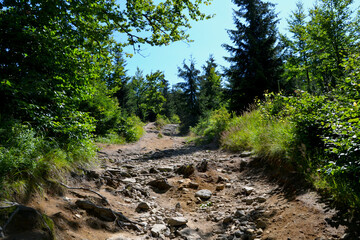 Silesian Beskids, mountain trail. The trail to Malinowska Rock (polish: Malinowa Skala) leads from the Salmopolska Pass through Malinow and Malinowska Cave.