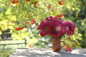 Beautiful bouquet of pink asters in a clay mug next to the yellow autumn branch of ash tree.