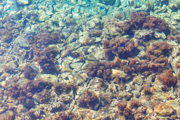 Turquoise sea water and stones at the bottom . Transparent lake background