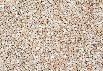 Brown and white beans pattern as background