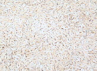 Brown and white beans pattern as background