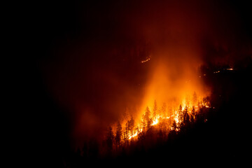 Fototapeta na wymiar Mountain forest wildfire at night with burning trees