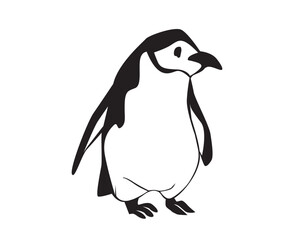 penguin illustration